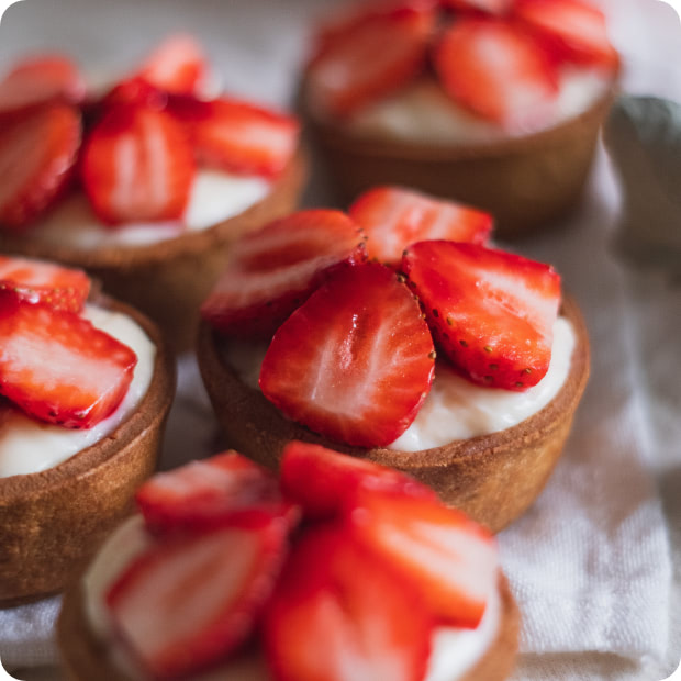 Home 9 Elgeewrites Home cat