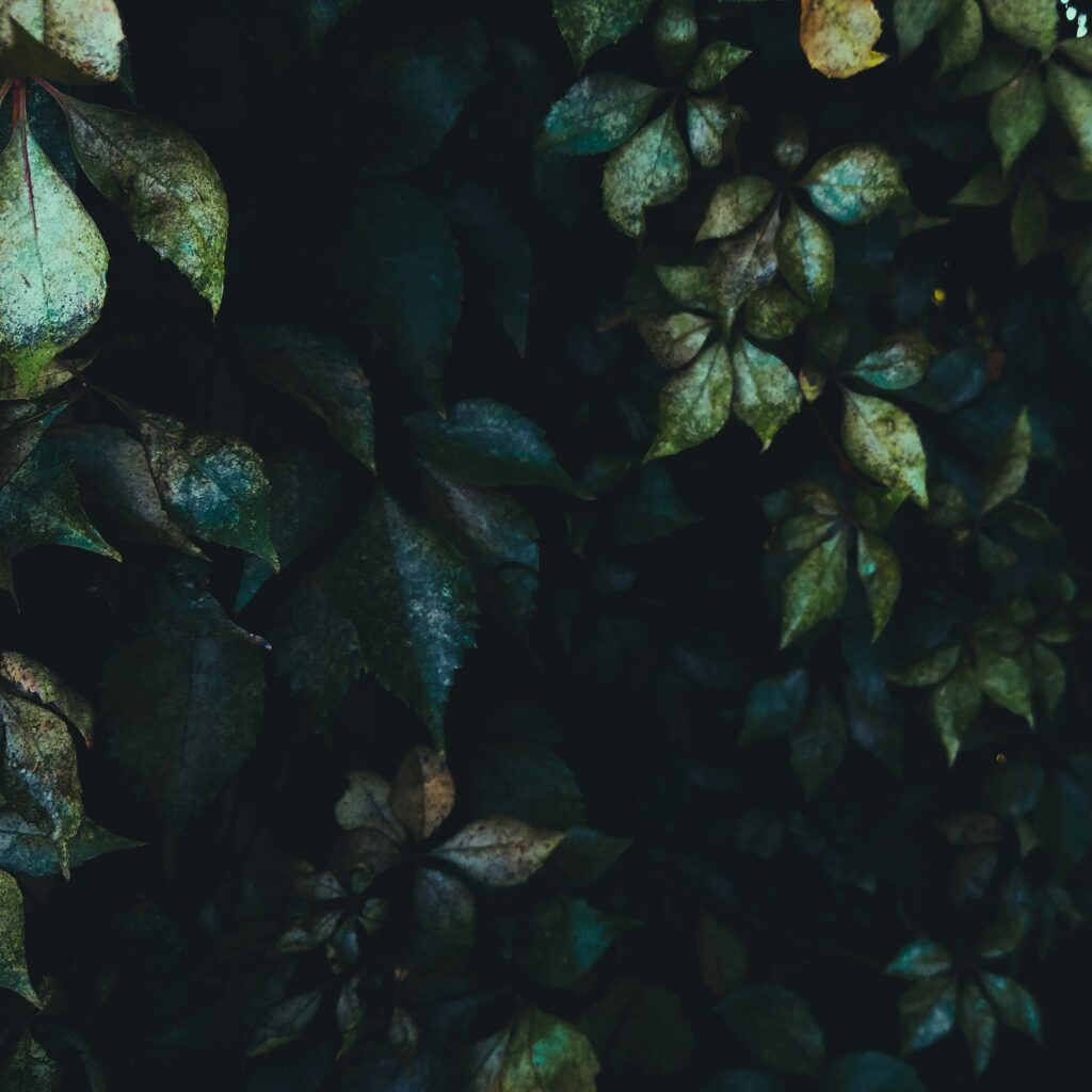 Home 9 Elgeewrites productivity better you